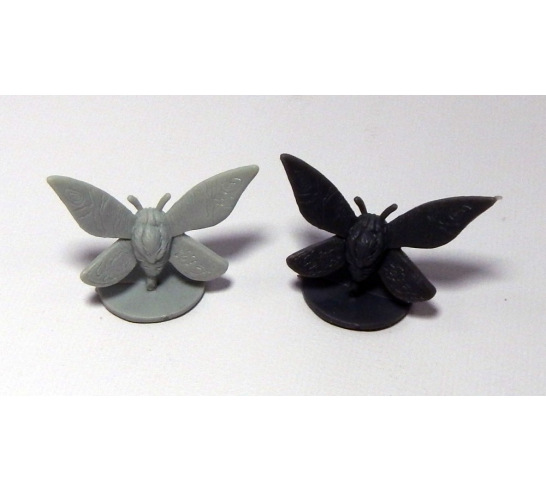 Moth
