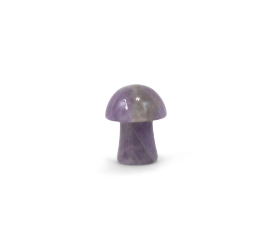Mini Amethyst Mushroom