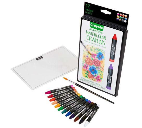 Signature Premium Watercolor Crayons Painting Set