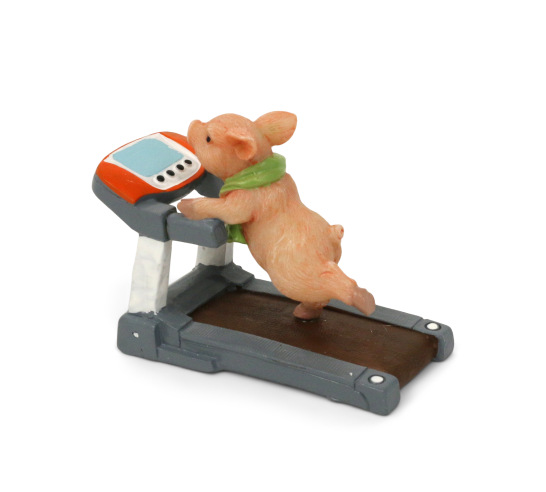 Treadmill Pig