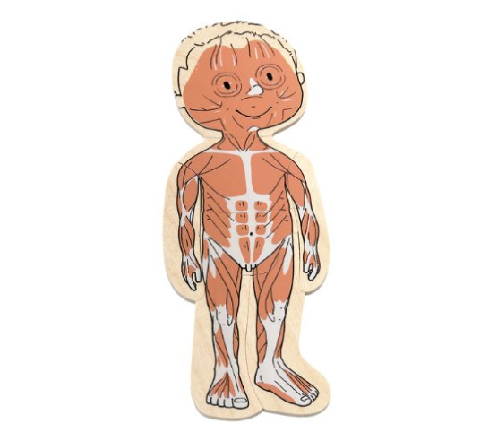Your Body: 5 Layer Boy Puzzle