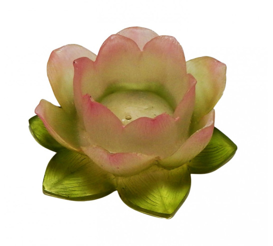 Lotus Flower