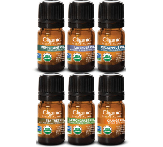 Organic Aromatherapy Essential Oils (set of 6)