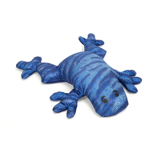 Weighted Blue Frog