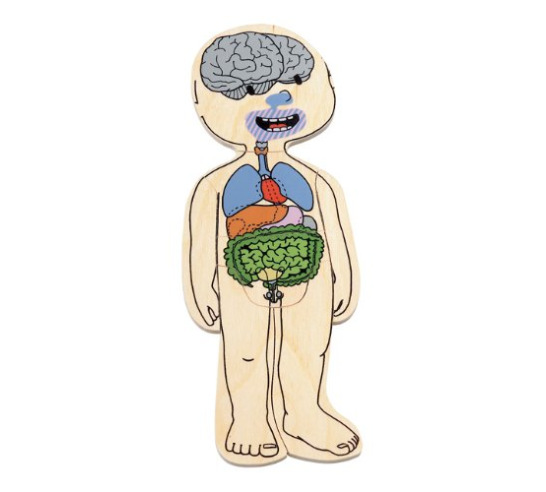 Your Body: 5 Layer Boy Puzzle
