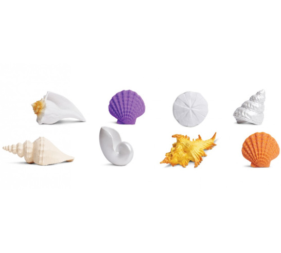 Seashells Toob (8 piece)