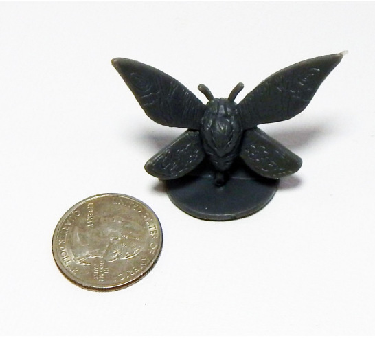 Moth