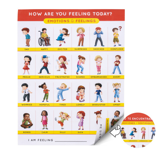 How Are You Feeling Today Emotions and Feelings Poster