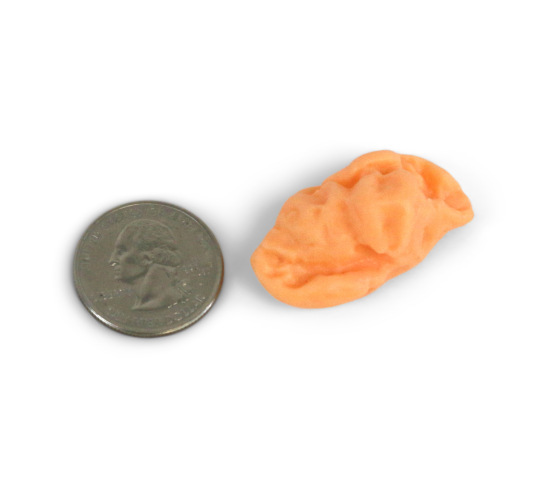 Gum Wad