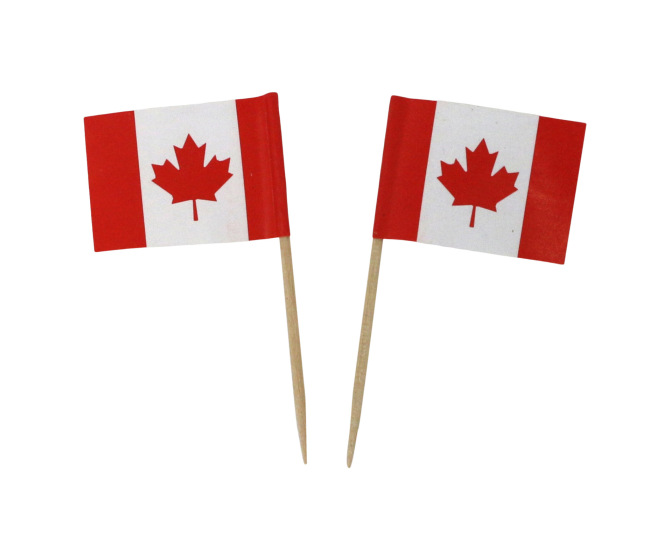 Tiny Canadian Flags (set of 2)