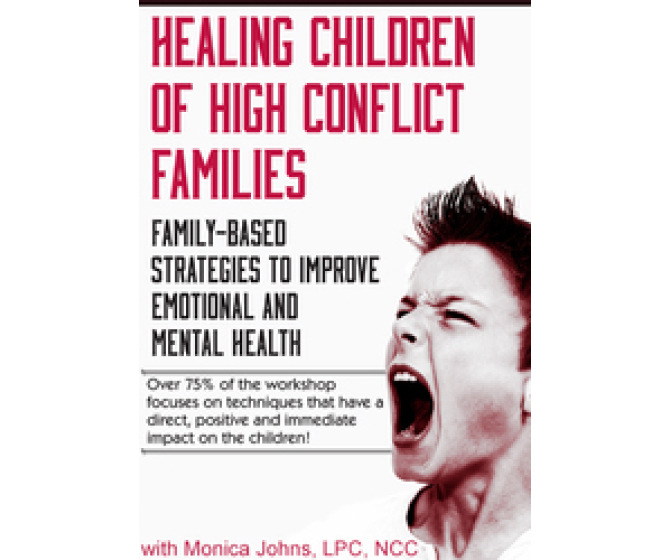 Healing Children of High Conflict Families DVD