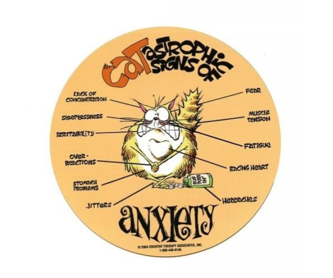 Cat-astrophic Signs of Anxiety Magnet