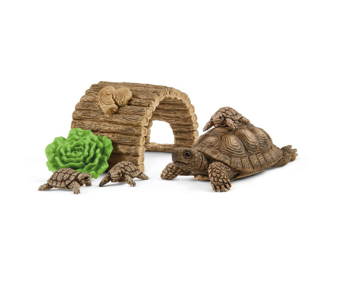 Tortoise Home (6 piece set)
