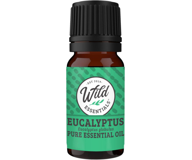 Aromatherapy Essential Oil - Eucalyptus