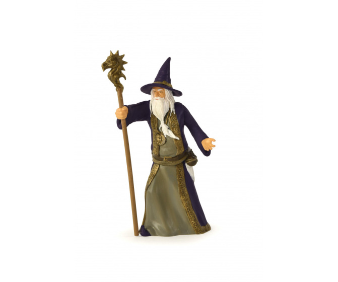 Wizard with Staff