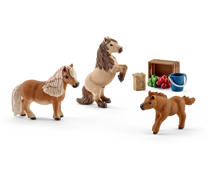 Miniature Shetland Pony Family (8 Piece Set)