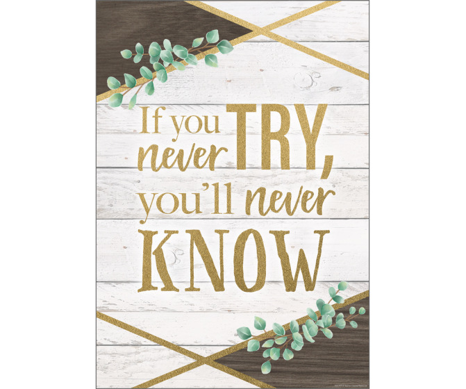 If You Never Try, You'll Never Know Positive Poster