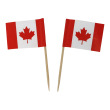 Tiny Canadian Flags (set of 2)