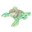 Small Weighted Turtle