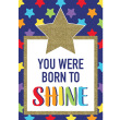 Born to Shine Poster