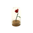 Rose Under Glass