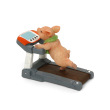 Treadmill Pig