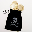 Pirate Bag and Coins