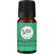 Aromatherapy Essential Oil - Eucalyptus