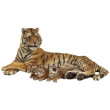 Nursing Tigress with cubs (2 figures)
