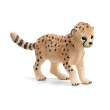 Cheetah Cub