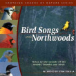 Soothing Sounds of Nature: Bird Songs of the Northwoods