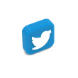 Social Media Icon - Twitter (Bird)
