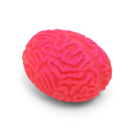 squishy brain stress ball
