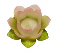 Lotus Flower