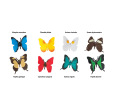 Butterfly Toob (8 Pieces)