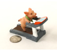 Treadmill Pig