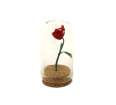 Rose Under Glass