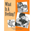 What Is a Feeling?