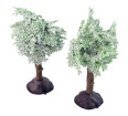 Snowy Trees