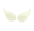 Tiny Wings (Set of 2)