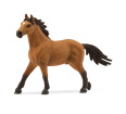 Mustang Stallion
