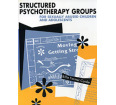 Structured Psychotherapy Groups for Sexually Abused Children and Adolescents