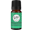 Aromatherapy Essential Oil - Eucalyptus