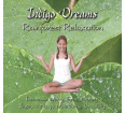 Indigo Dreams Rainforest Relaxation CD