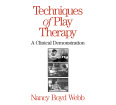 Techniques of Play Therapy: A Clinical Demonstration DVD