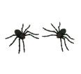 Large Spiders (set of 2)