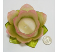 Lotus Flower