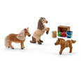 Miniature Shetland Pony Family (8 Piece Set)