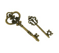 Assorted Keys (set of 2)