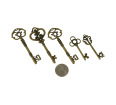 Assorted Keys (set of 2)